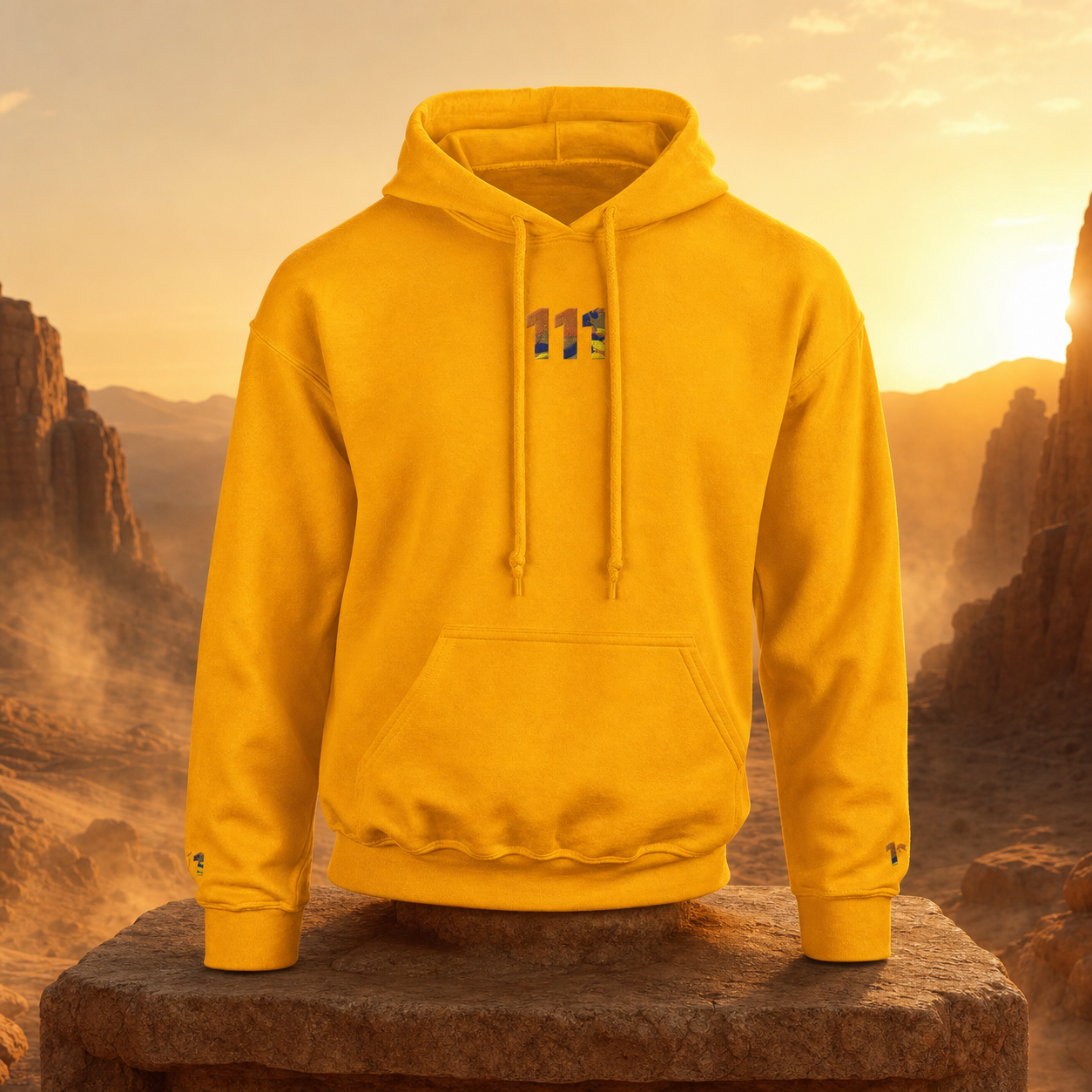111 - Desert - New Beginnings