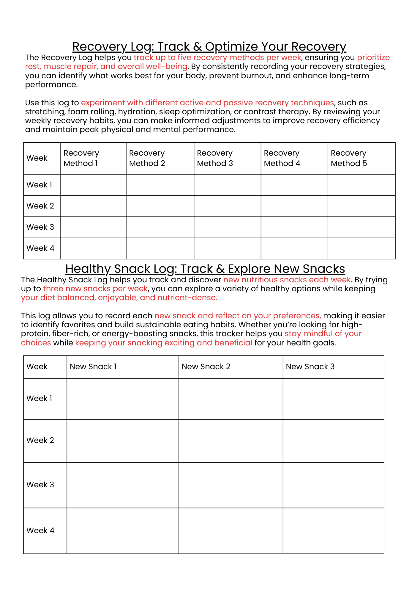 Bright Future Journal (4 months)