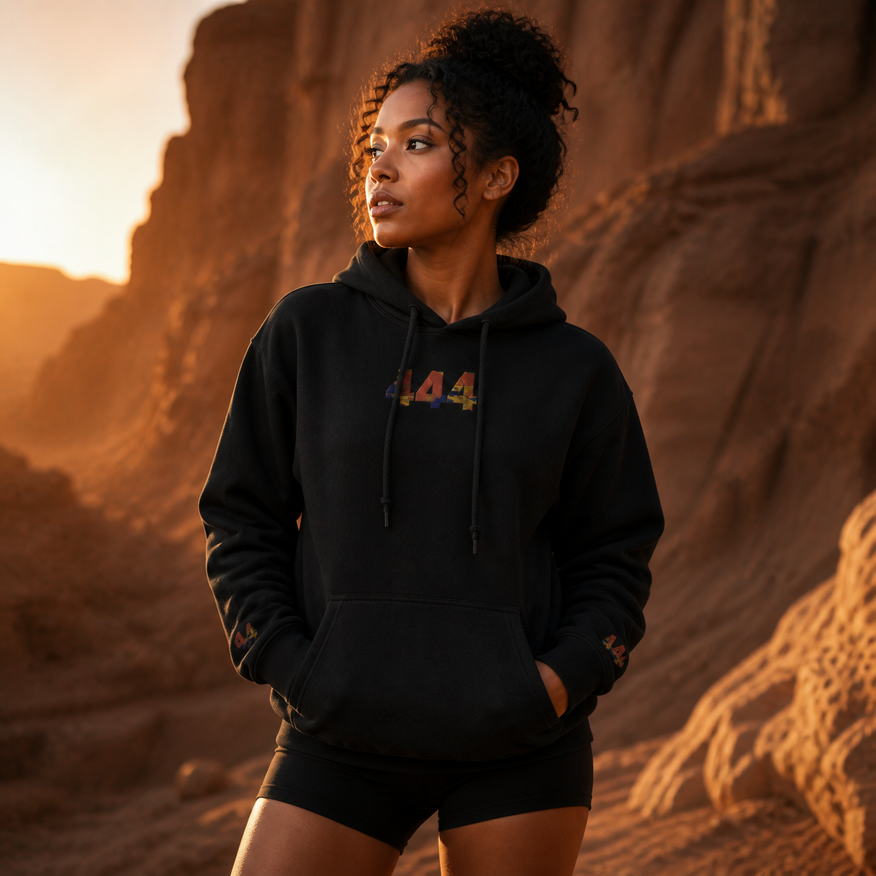 444 Desert Angel Number Hoodie in Black – Bright Future product image