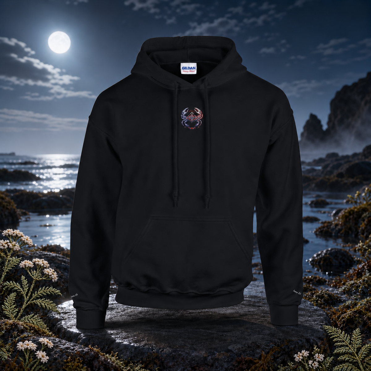 Cancer Zodiac Hoodie in Black – Bright Future product image — original product in a realistic nature scene with embroidered environmental details.