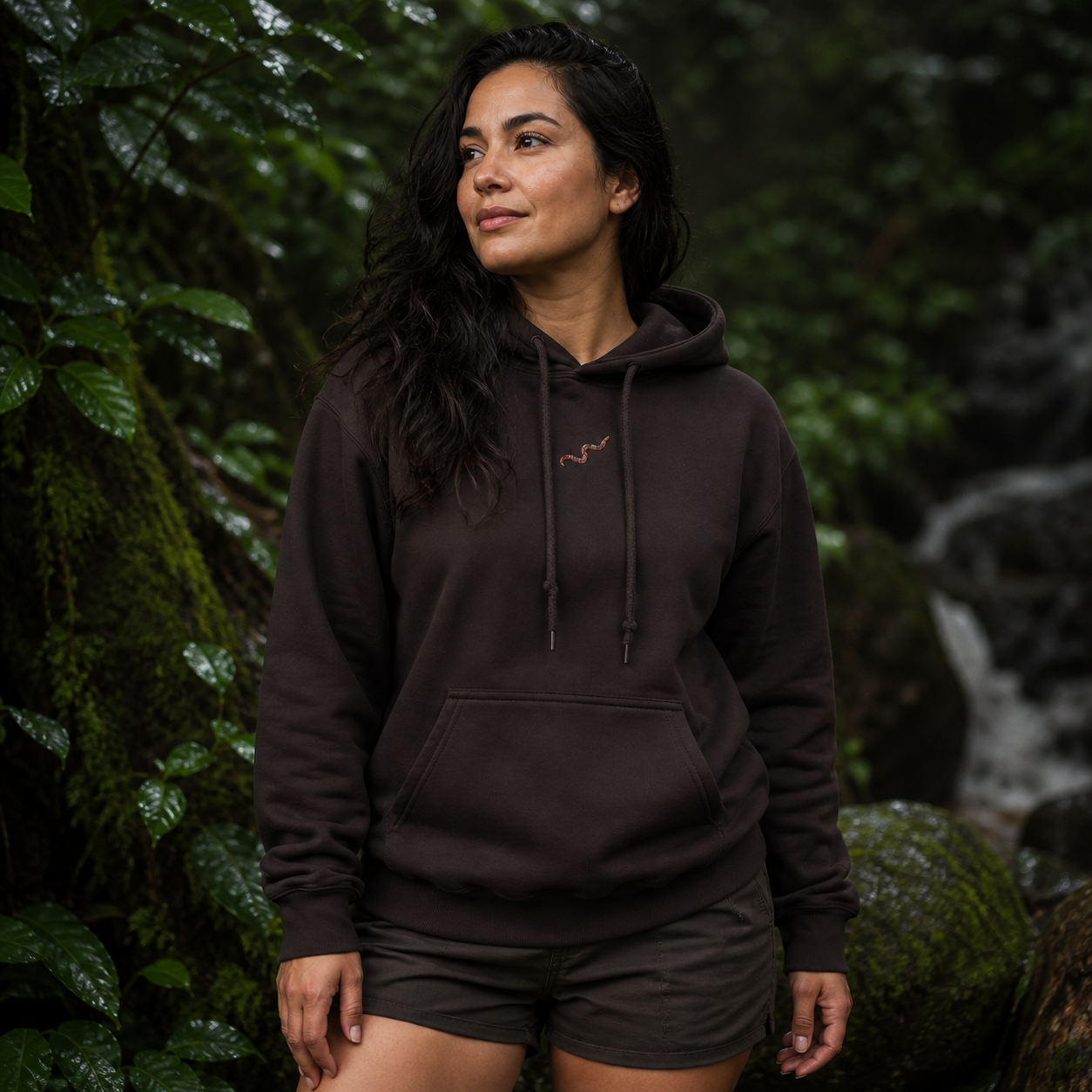 Earthworm Hoodie Hoodie – Growth & Renewal in Dark Chocolate – Bright Future product image