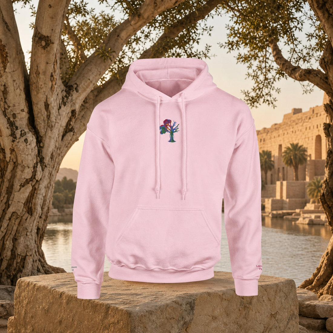 Lady of the Sycamore Symbol Hoodie in Light Pink – Bright Future product image