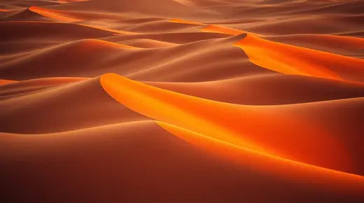 Desert Collection (WaterAid)