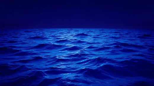 Ocean Collection (The Ocean Cleanup)