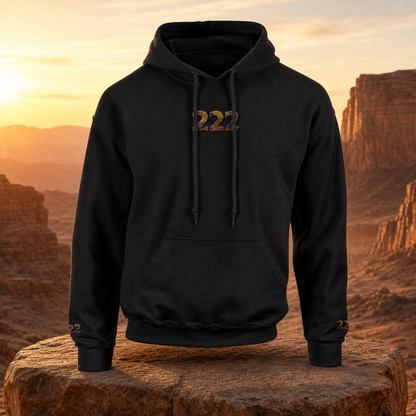 222 Desert Angel Number Hoodie in Black – Bright Future product image