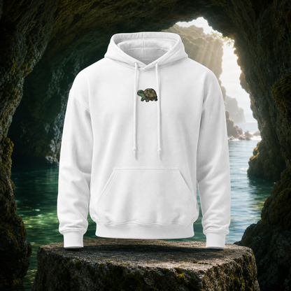 The Turtle – Patience, Protection &amp; Steady Growth