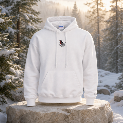 Robin Hoodie – Bright Future product image