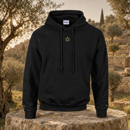 Star of David Symbol Hoodie in Black – Bright Future product image